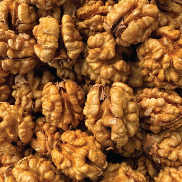 Qasmi Dry Fruits Company Premium Walnut Giri (Akhrot)