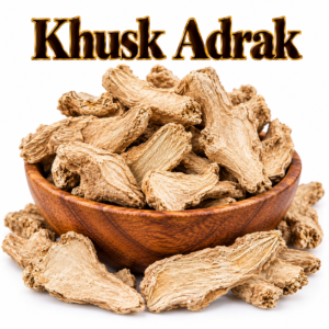 KhushkAdrak